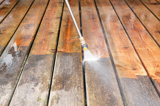 Best Roof Cleaning and Mildew Removal in Eton, GA